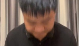 老陈最新爆料视频,揭秘事件背后惊人真相！